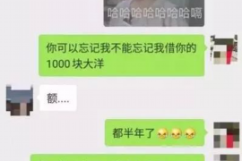 巴音郭楞巴音郭楞的要账公司在催收过程中的策略和技巧有哪些？